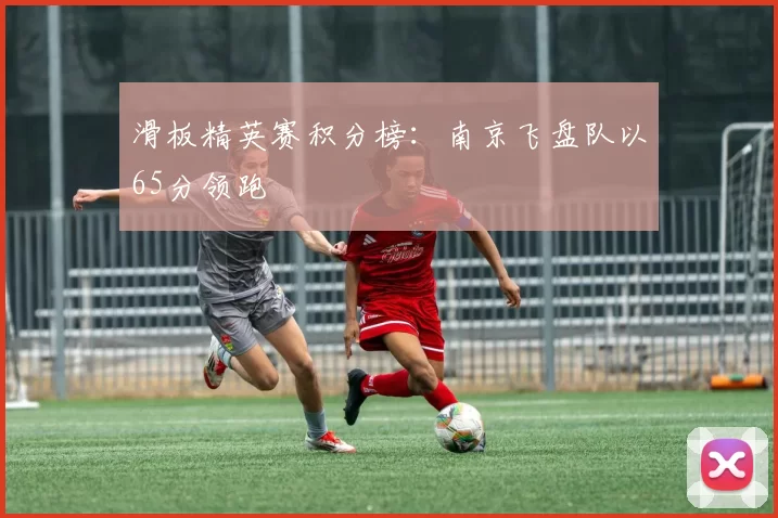 滑板精英赛积分榜：南京飞盘队以65分领跑